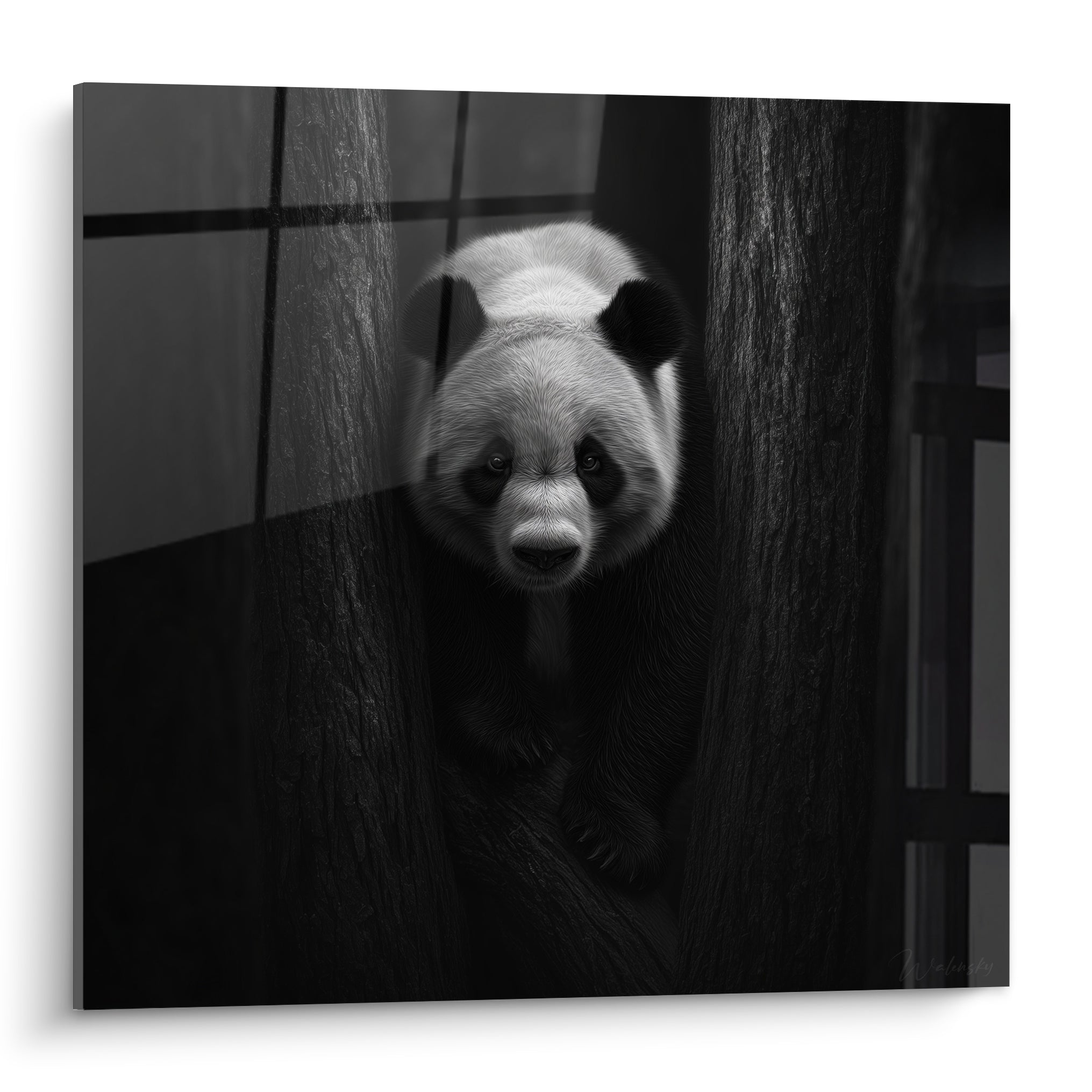 Panda blanc et noir surgissant entre deux troncs sombres, regard fixe et pelage texturé