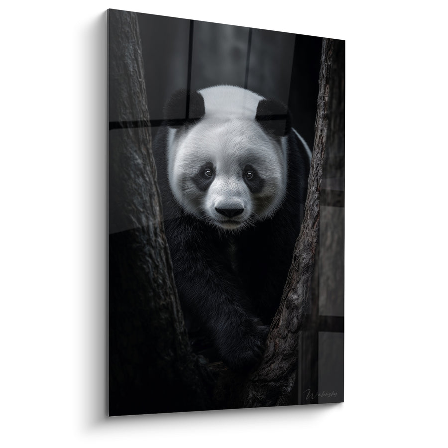 Tableau Panda blanc et noir entre deux troncs - Regard entre les branches - Edition Panda