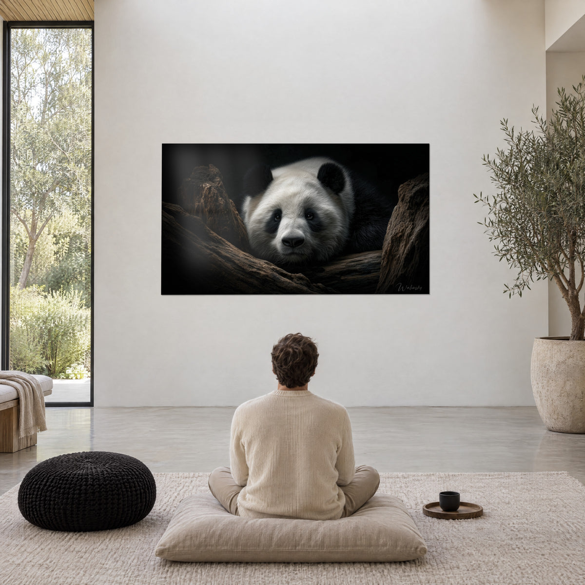 Obraz śpiąca panda w półmroku, połamana biel i głęboka czerń sierści, mężczyzna tyłem siedzący w medytacji na beżowej poduszce