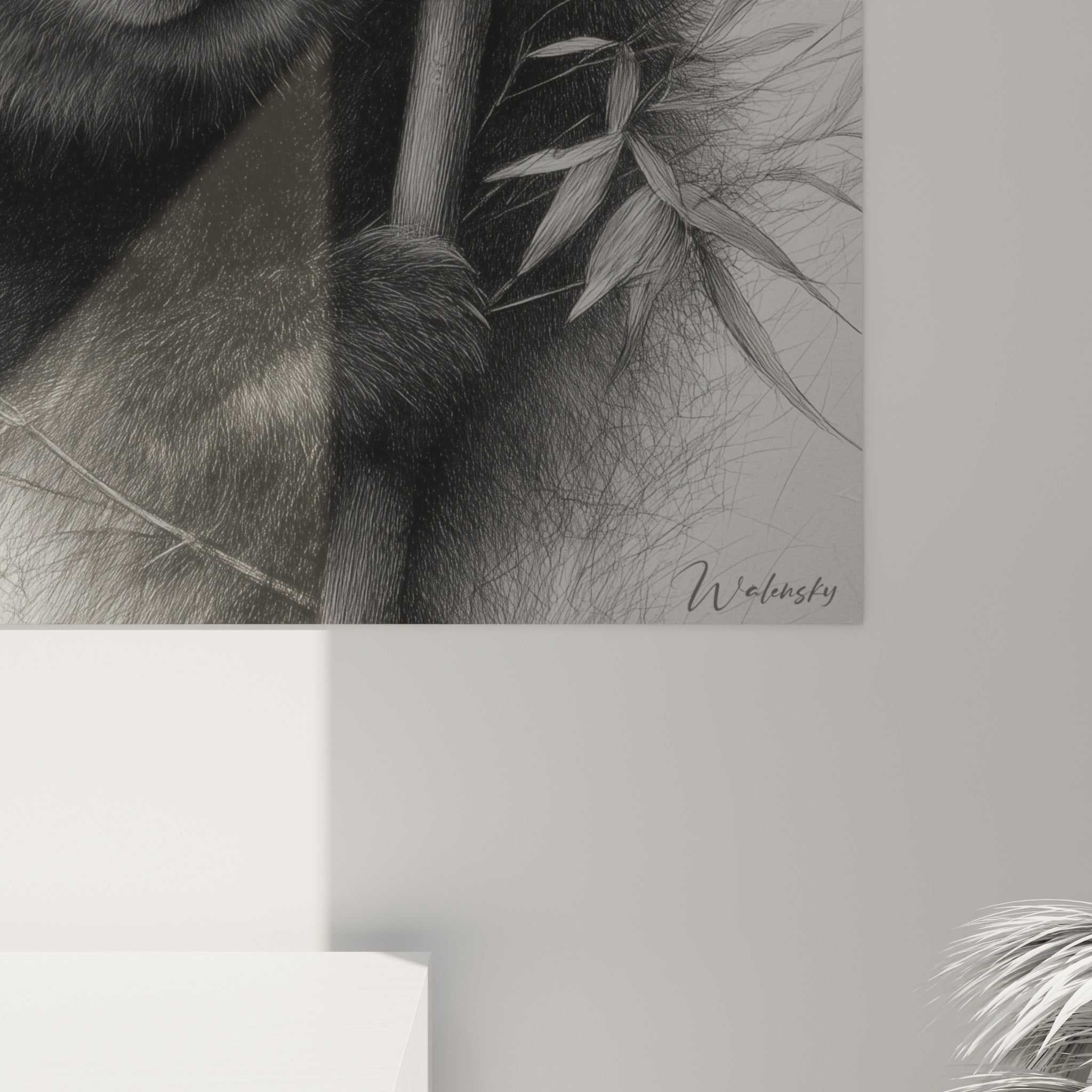 Détail du pelage anthracite et blanc du panda, hachures fines et grain du crayon visibles de près