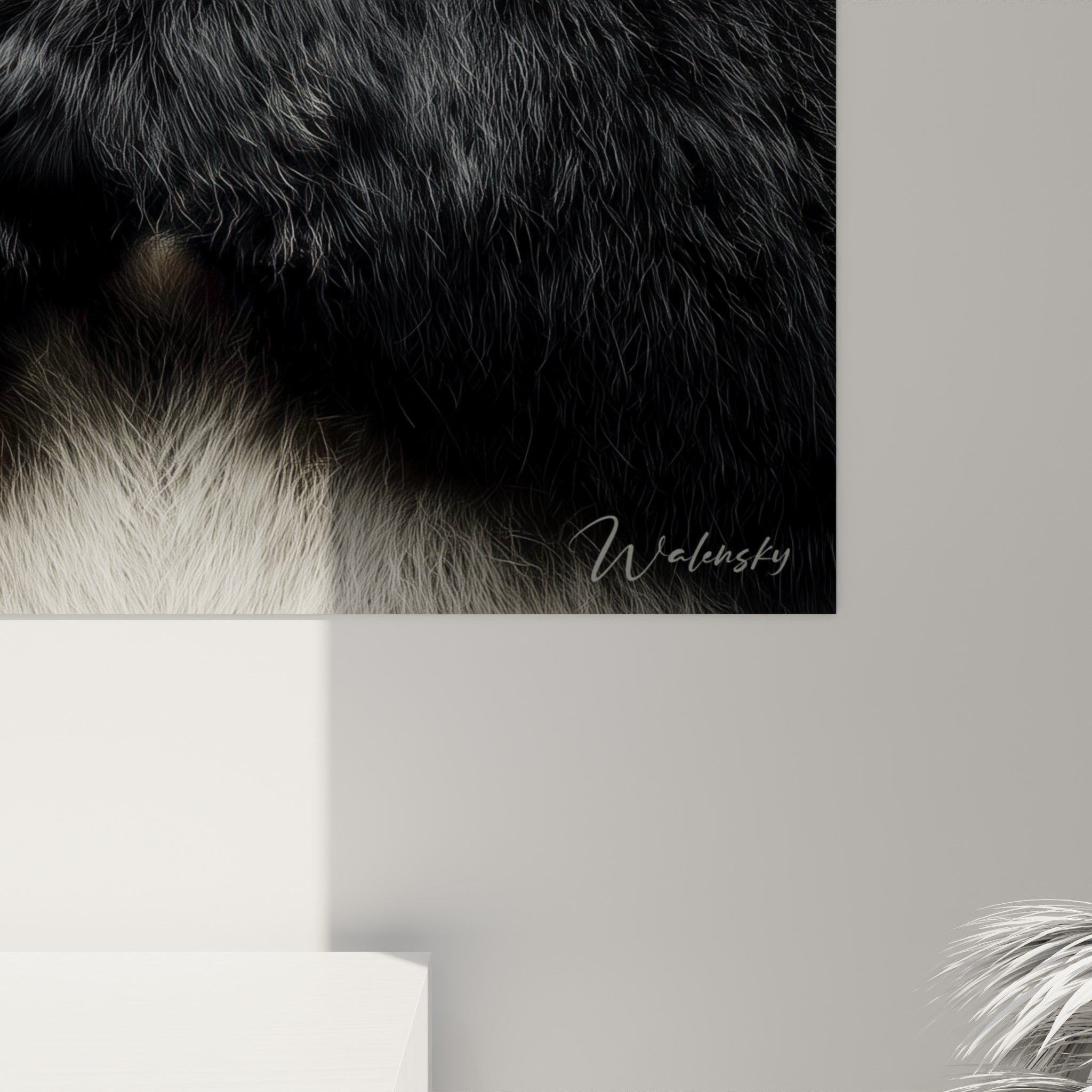 Grain de la fourrure blanche et noire du panda, textures fines et regard brun visibles de près