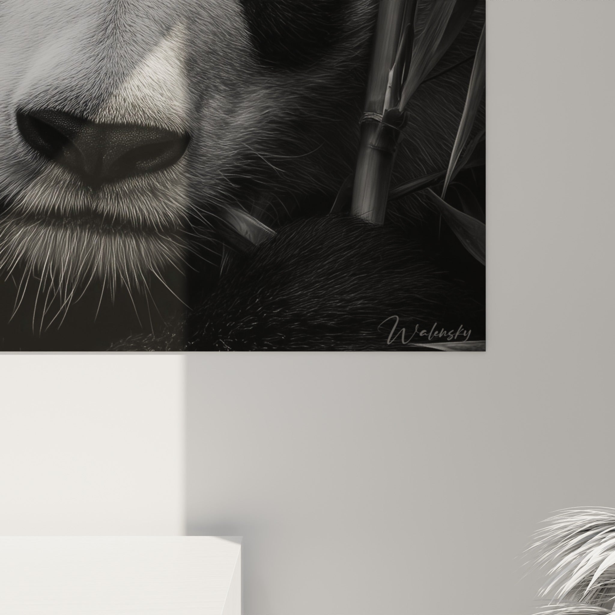 Détail du pelage texturé du panda, grain fin entre le blanc laiteux et le noir dense de la fourrure