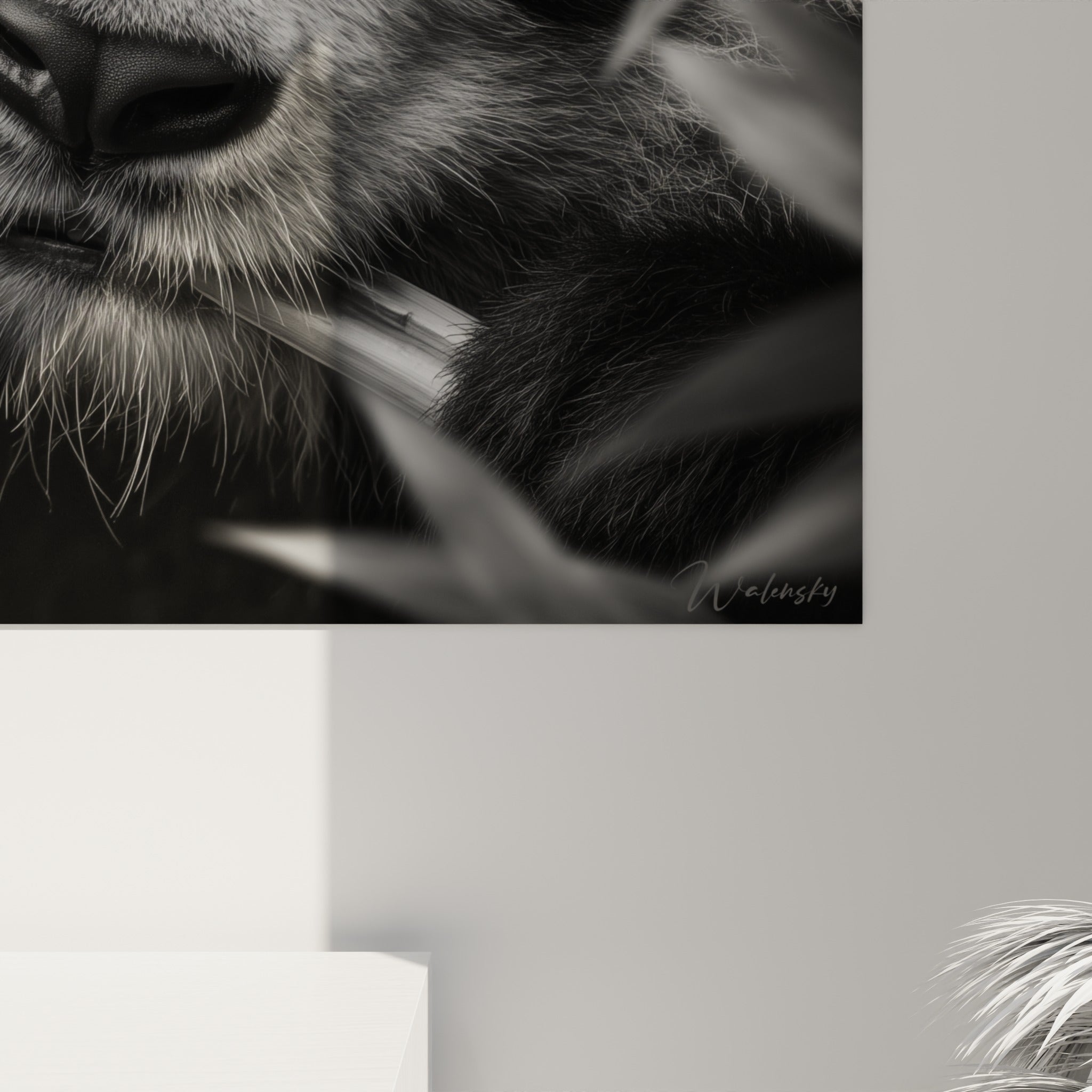 Grain et détails du pelage blanc et anthracite du panda, moustaches et griffes visibles de près