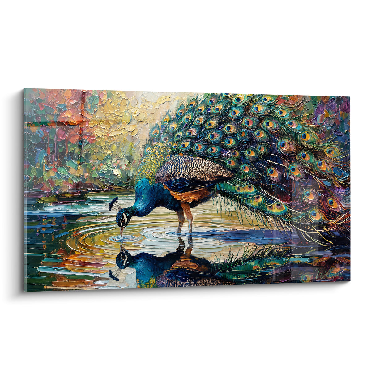 Paon turquoise et doré buvant à l'étang, plumage déployé en ocelles bleu marine et orangé