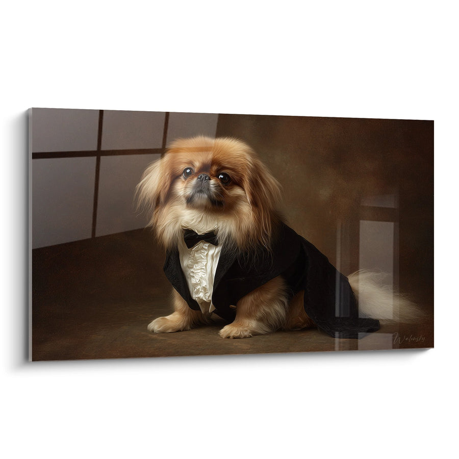 Pekingese im Frack-Anzug - Aristokratisches Portrait - Pekingese Edition