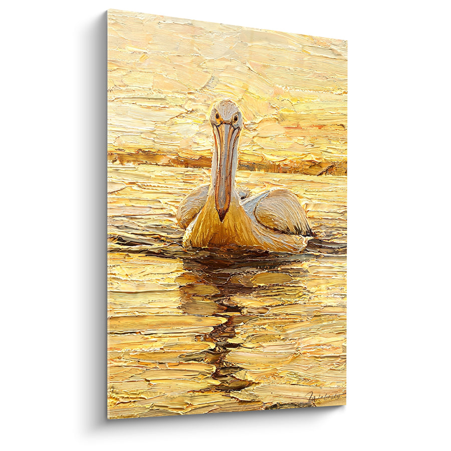 Tableau Pélican doré flottant sur une eau ambrée - Lumière du soir - Edition Pélican