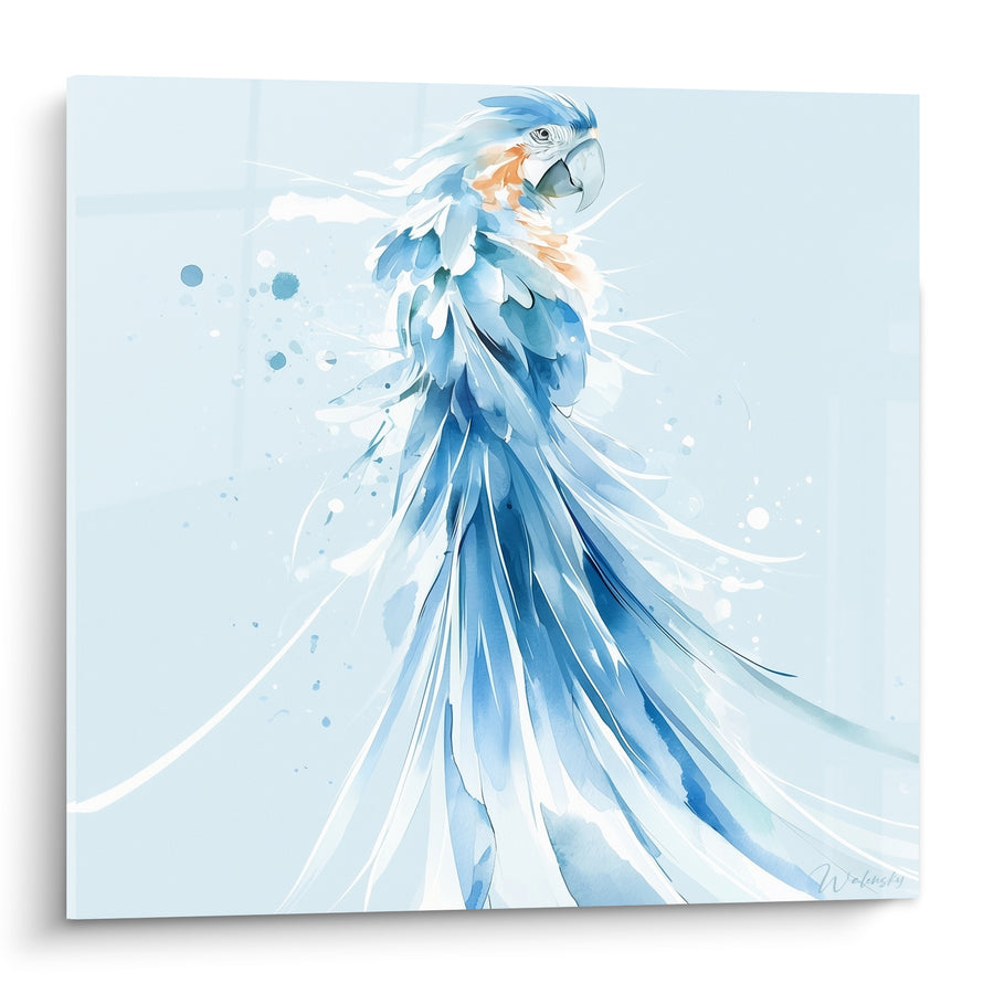 Tableau Perroquet aquarelle bleu ciel et blanc - Souffle glacé - Edition Perroquet