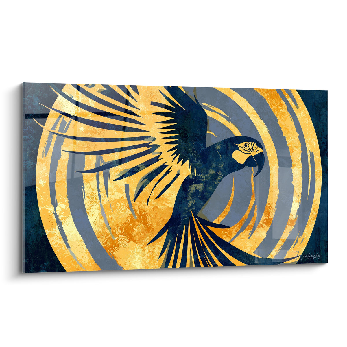 Perroquet bleu marine et doré en plein envol, ailes déployées dans des cercles concentriques ocre