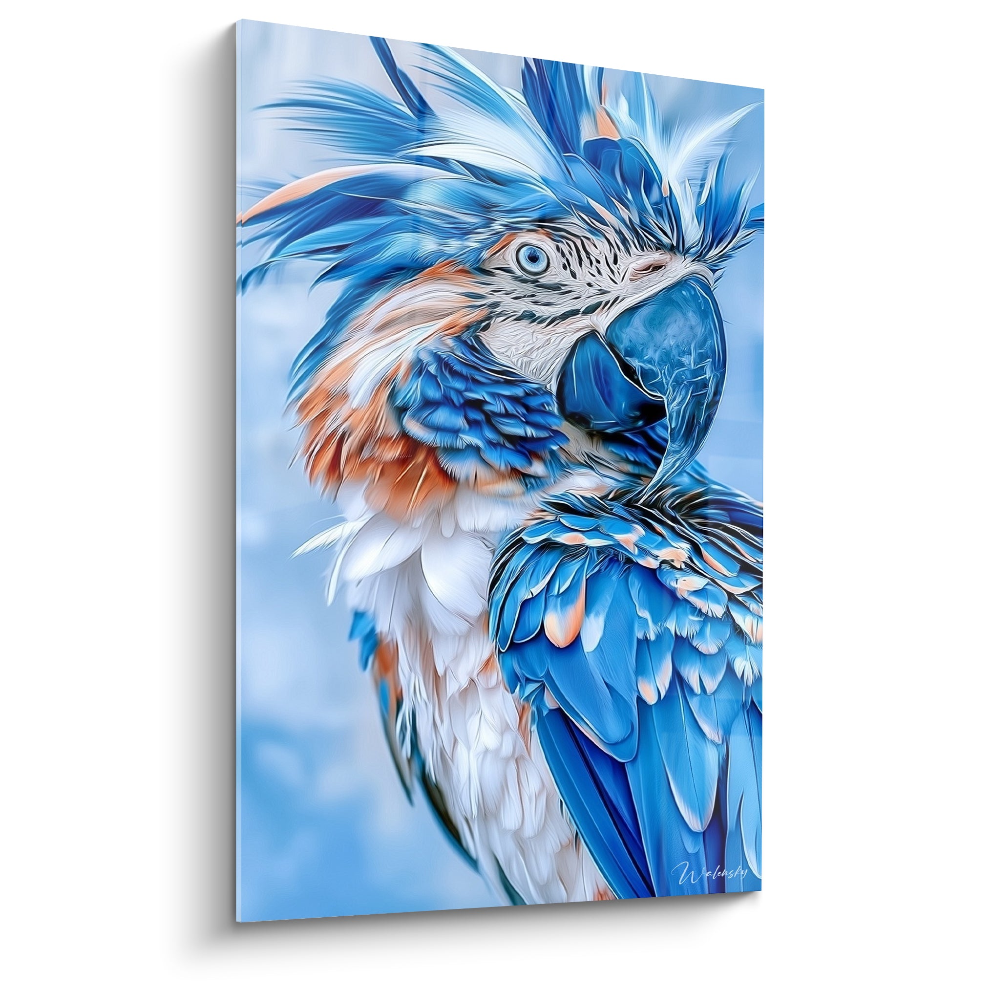 Perroquet bleu marine et blanc au plumage ébouriffé, bec bleu translucide, fond flou clair