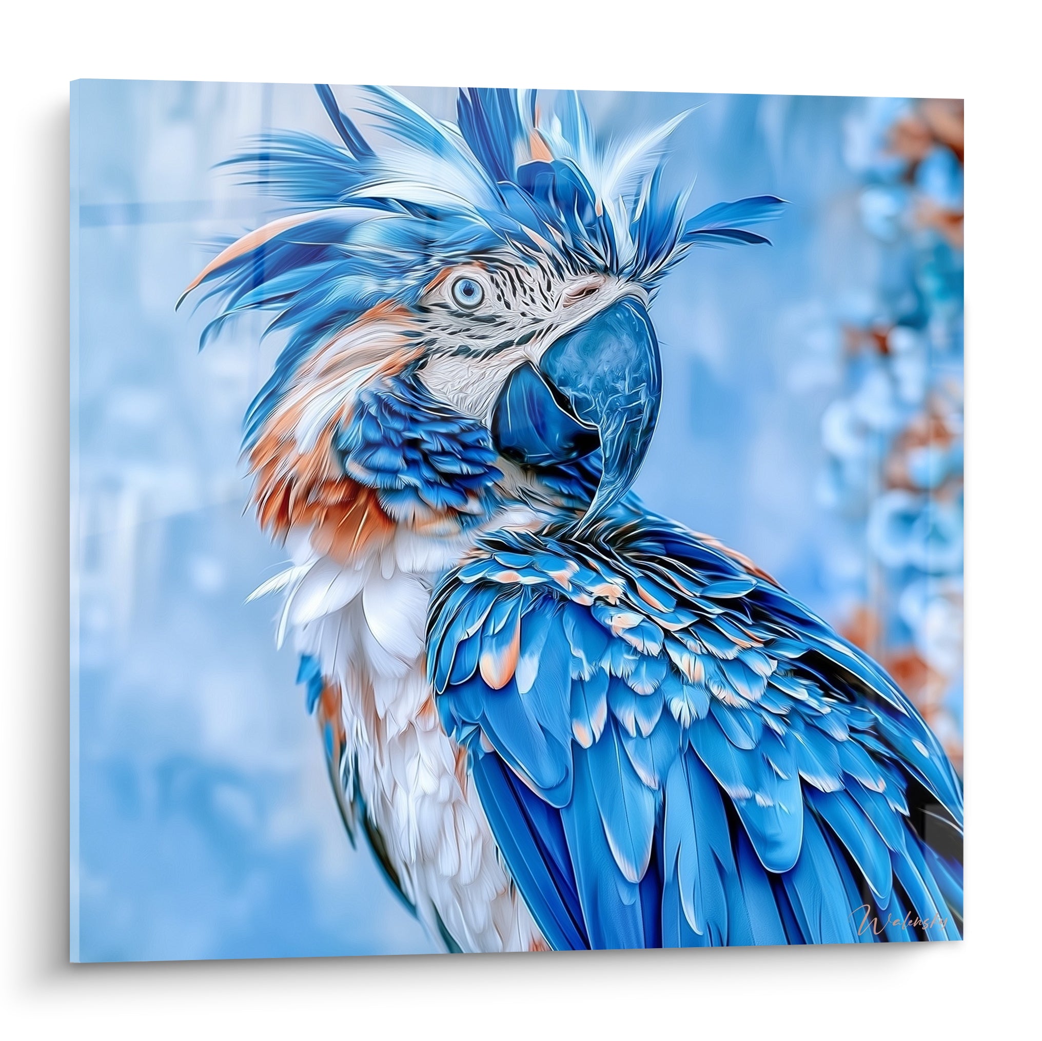 Perroquet bleu marine et blanc au plumage ébouriffé, bec recourbé, fond bleu glacier flou