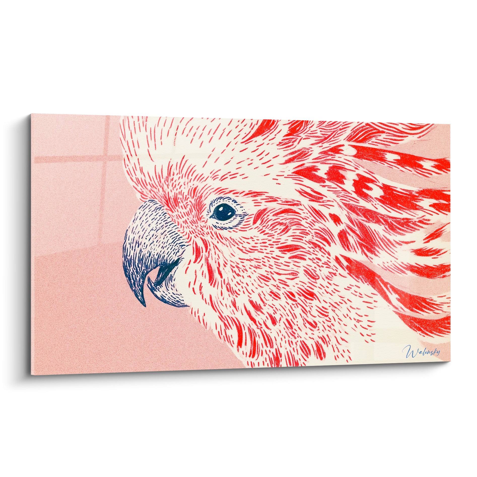 Cacatoès au plumage rouge vif et rose pâle, bec anthracite, style gravé et graphique