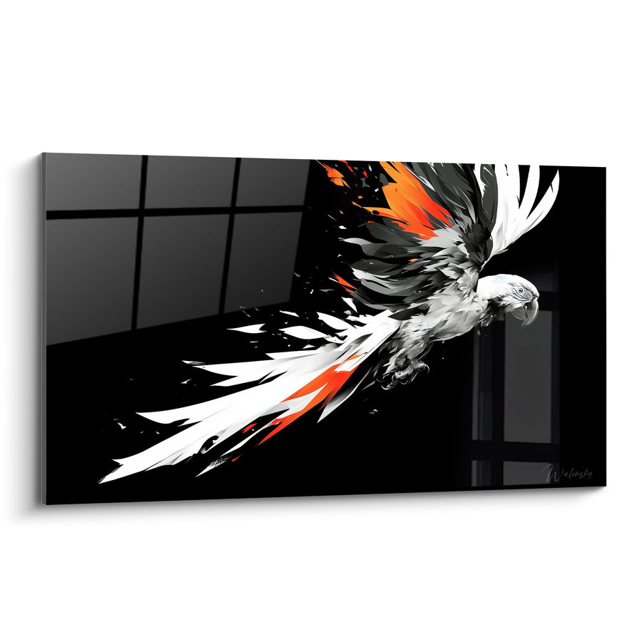 Tableau Perroquet blanc et noir aux plumes orange vif - Envol fulgurant - Edition Perroquet