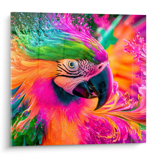 Perroquet en gros plan, plumage éclaté rose fuchsia, turquoise et vert émeraude, œil doré perçant