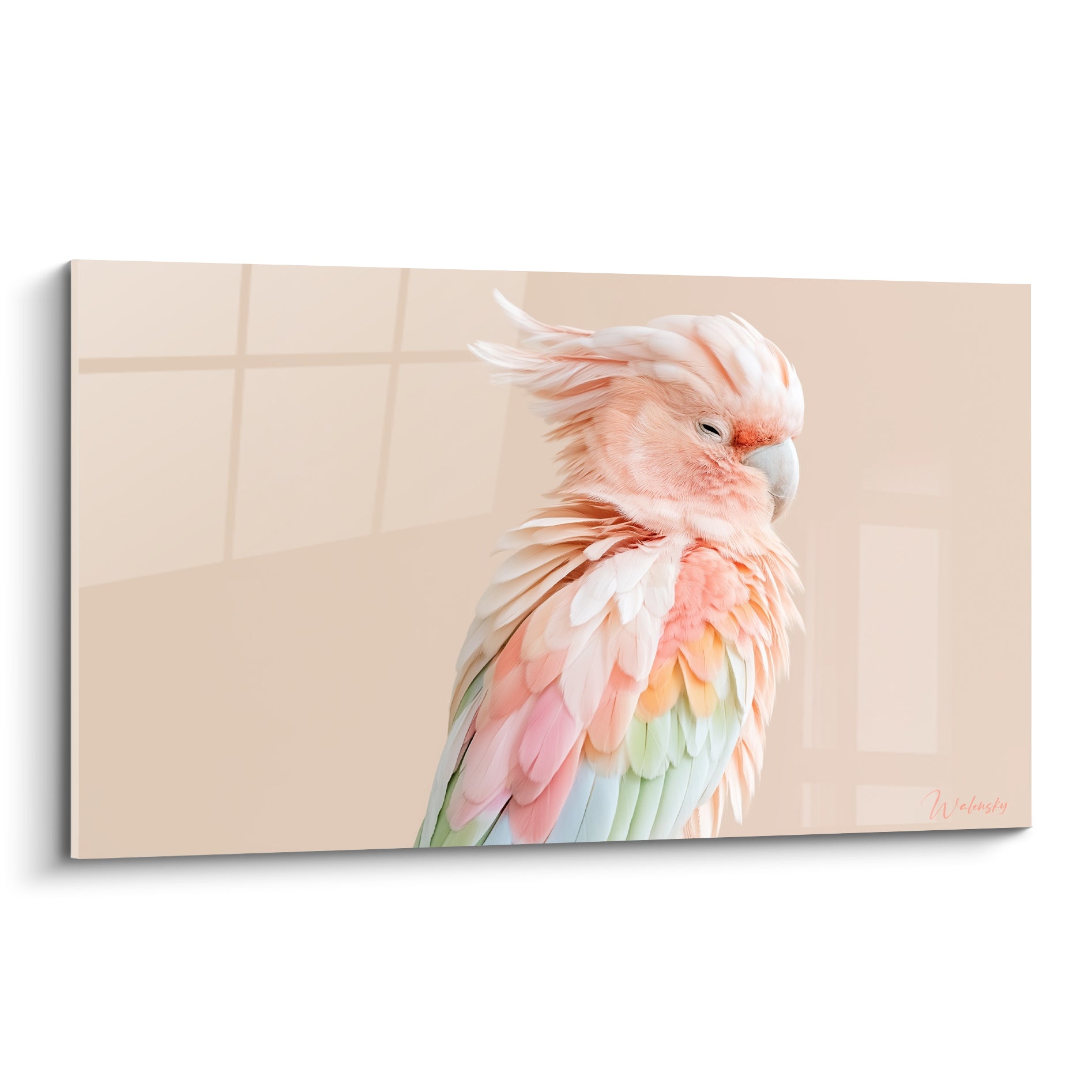 Cacatoès rose et vert pastel, plumes déployées en éventail sur fond beige uni