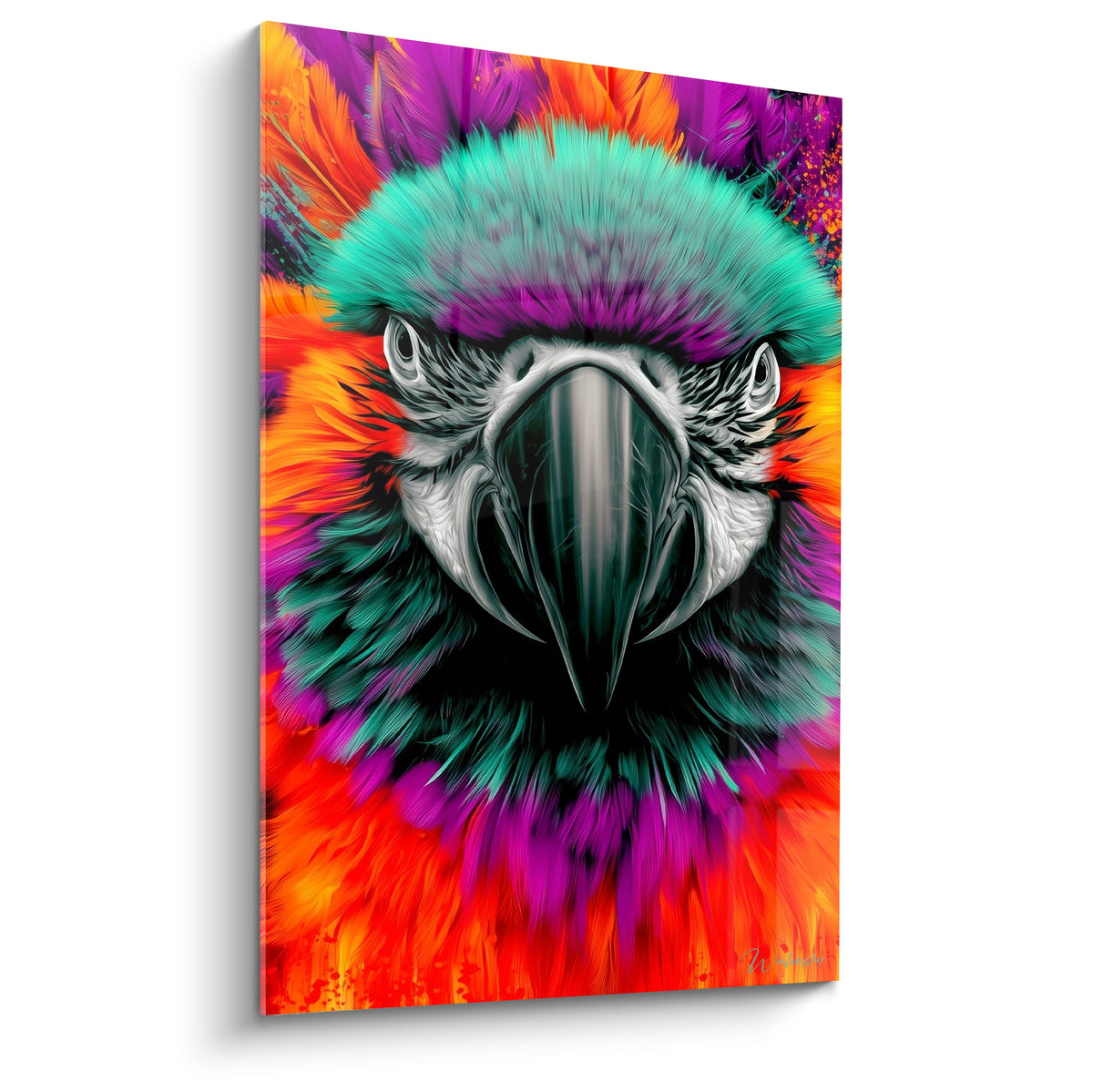 Perroquet turquoise et violet au regard perçant, bec anthracite, plumage flamboyant orange et rouge