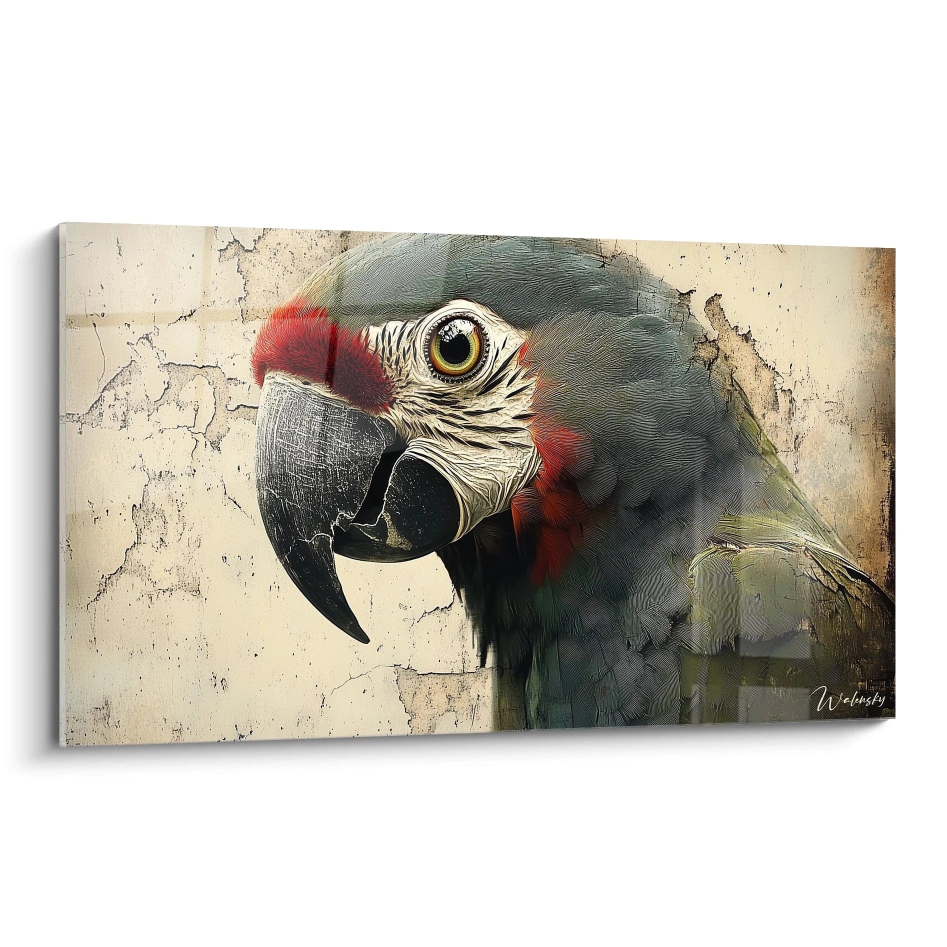 Un tableau perruche représentant un ara gris et rouge en gros plan, avec un œil jaune perçant et un bec noir courbé. Plumage finement détaillé aux textures variées sur fond beige craquelé, créant un contraste saisissant.
