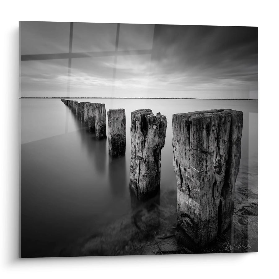 Tableau pieux en bois dans l'eau - Méditation Marine - Edition paysage noir et blanc
