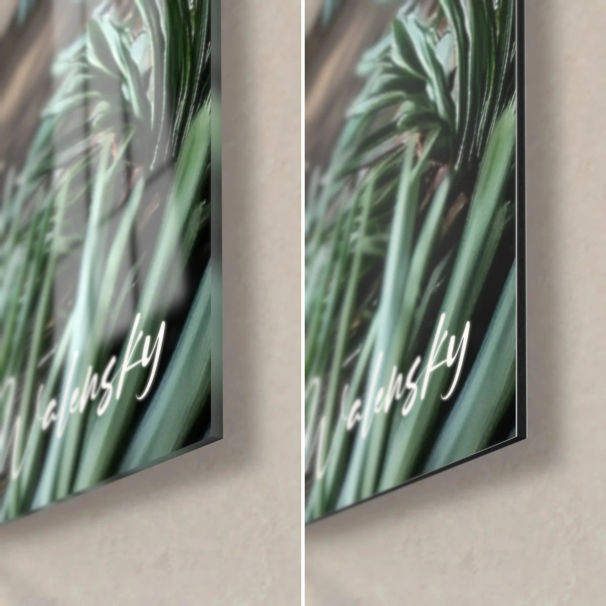 Schilderij van ivoorkleurige pijnboompitten en groene sparrentakjes, rechtsonder in het beeld, glanzend acrylglas links, mat Dibond rechts, dikte 3 mm