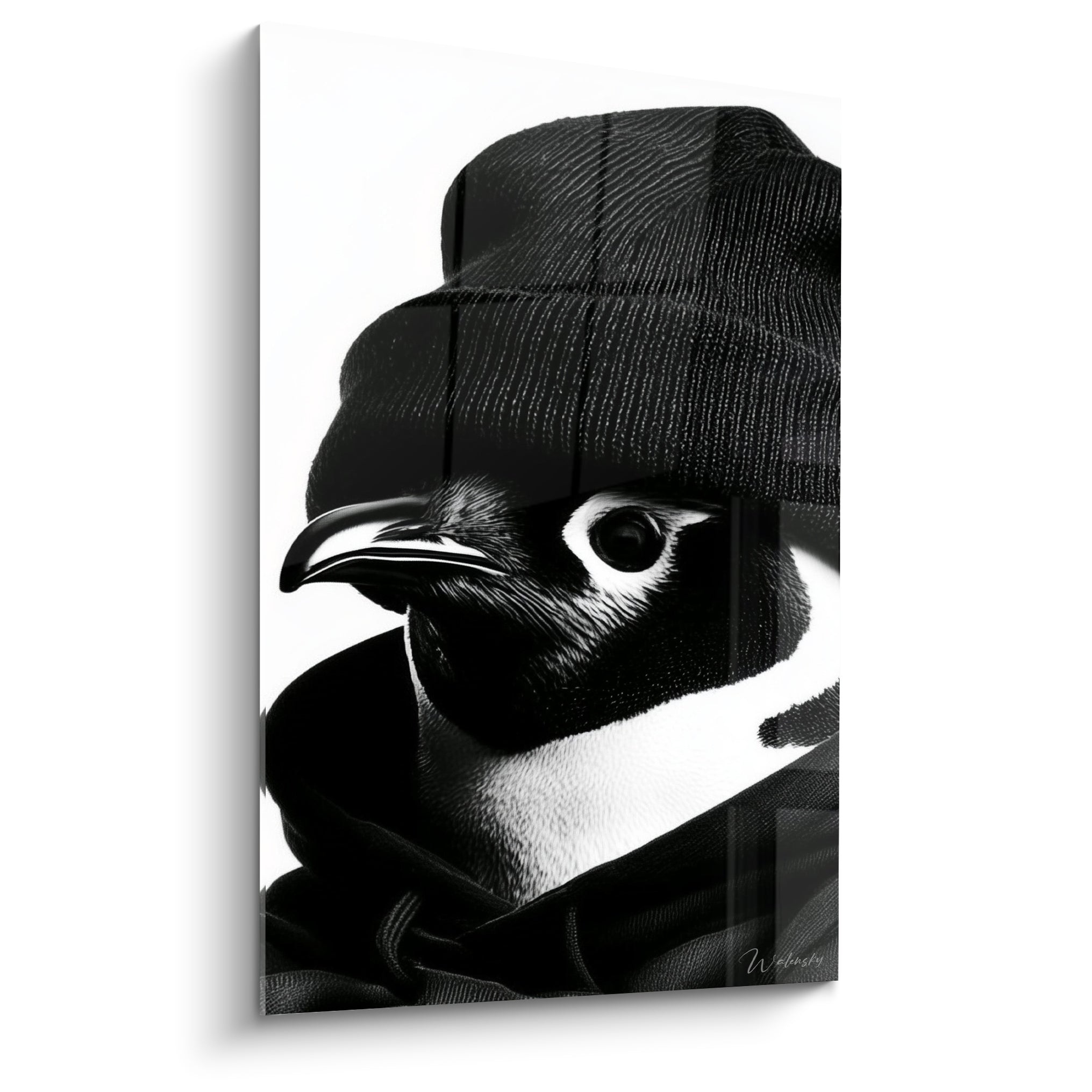 Pingouin en gros plan coiffé d'un bonnet noir tricoté, contraste fort entre plumage blanc et noir profond