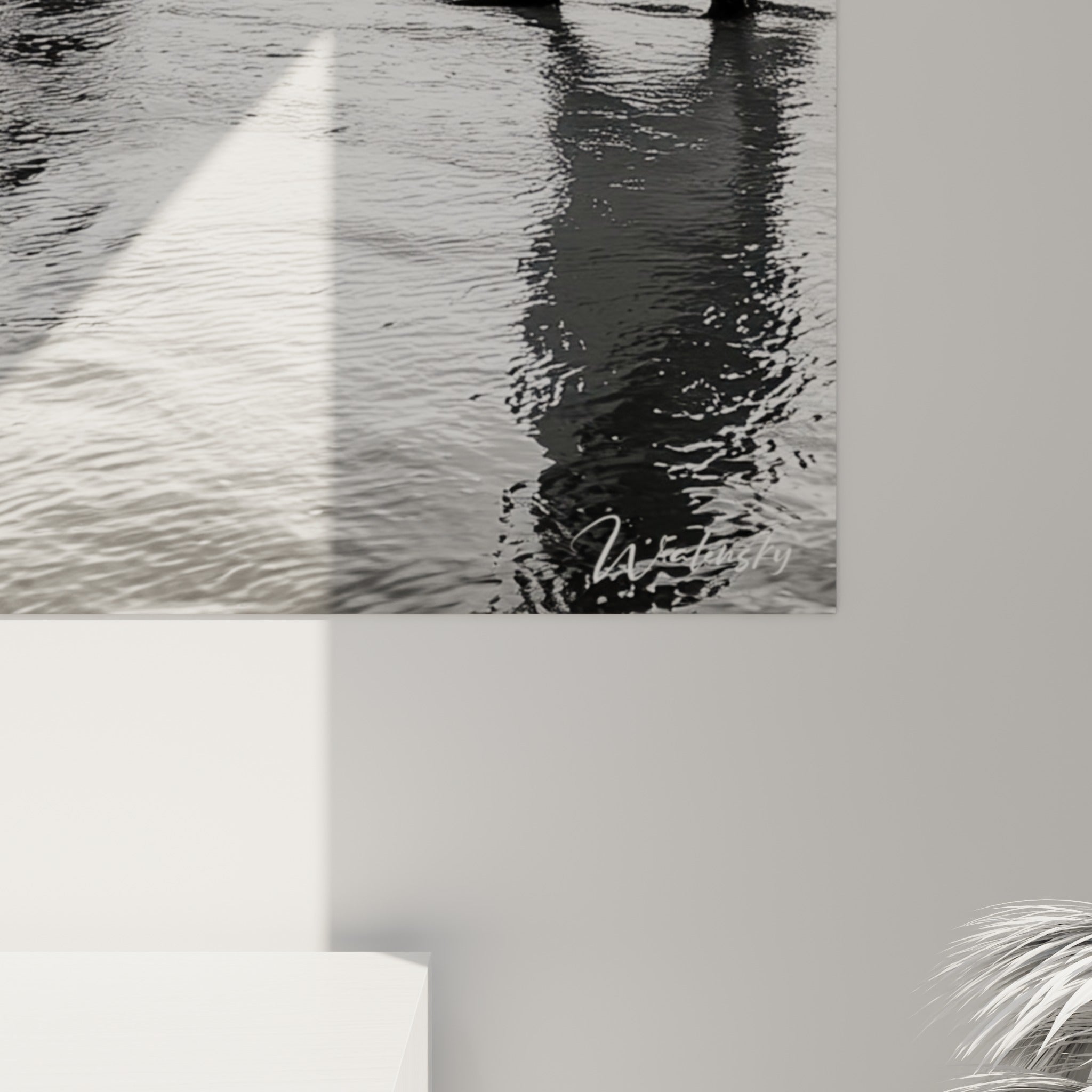 Grain photographique visible sur le plumage noir profond et le sable blanc reflétant la lumière du ciel gris.