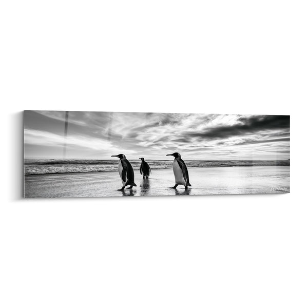 Tableau Pingouins noir et blanc sur plage - Marche polaire - Edition Pingouin