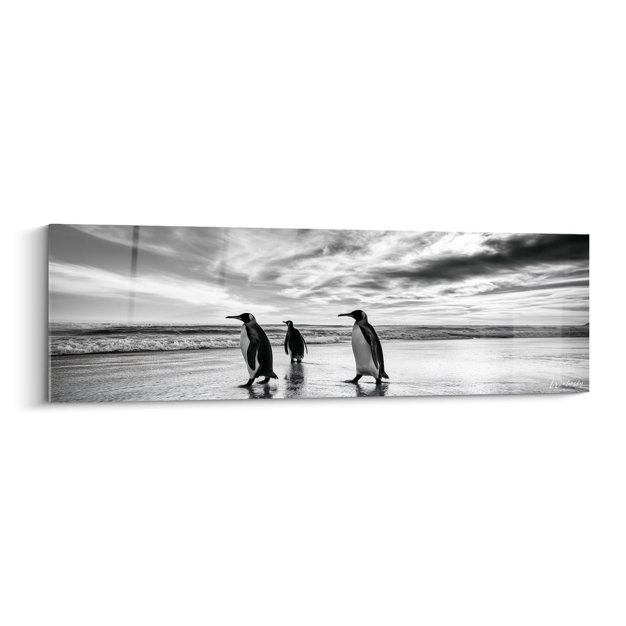 Tableau Pingouins noir et blanc sur plage - Marche polaire - Edition Pingouin