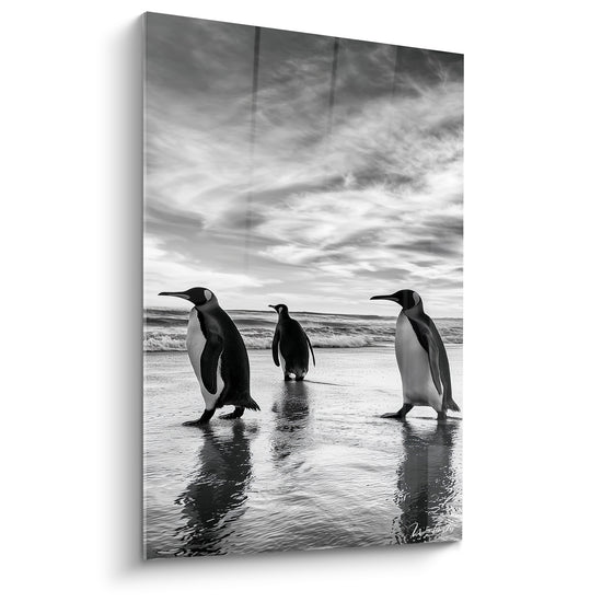 Trois manchots noir et blanc marchent côte à côte sur une plage sous un ciel nuageux immense.