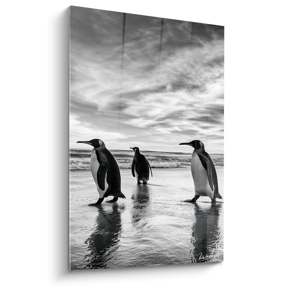 Tableau Manchots noir et blanc sur le rivage - Marche vers le large - Edition Pingouin