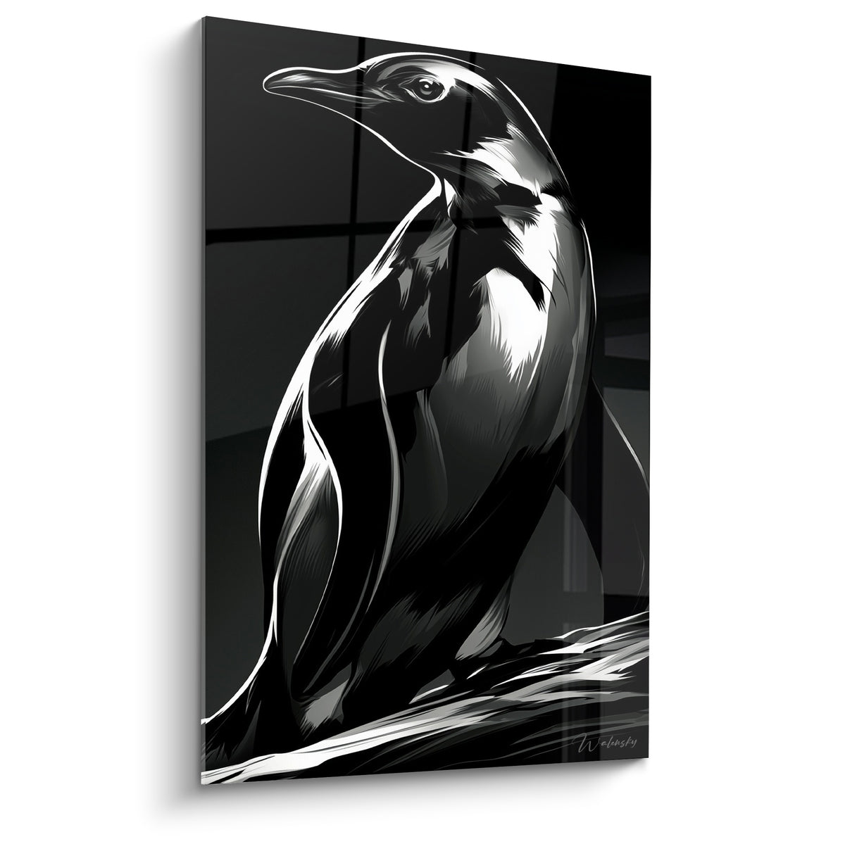 Manchot noir et blanc au regard perçant, plumage argenté sculpté par la lumière contrastée