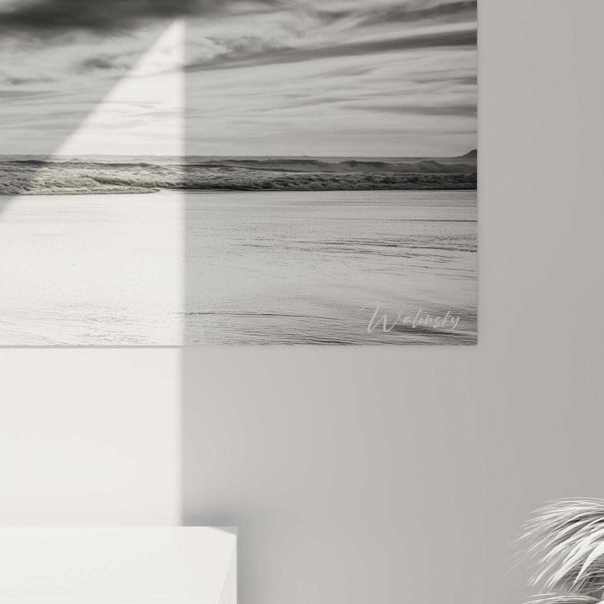 Grain photographique révélant les plumes anthracite et le sable blanc scintillant sous la lumière rasante