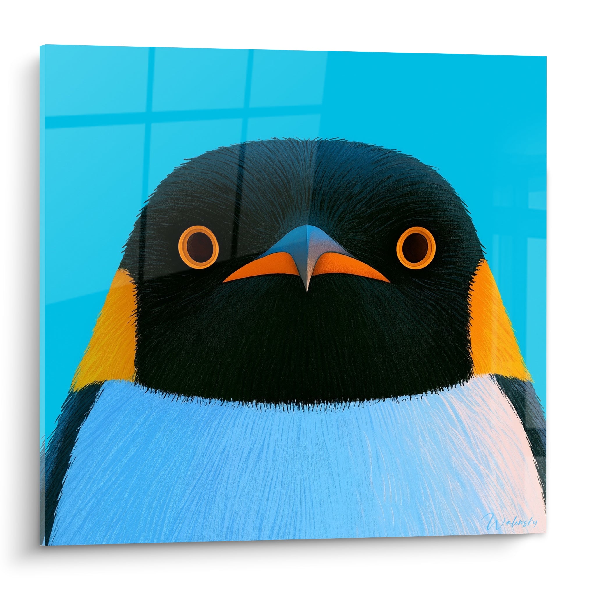 Pingouin au regard perçant, plumage noir, fond bleu turquoise et bec orange vif