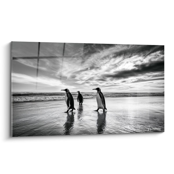 Tableau Pingouins royaux sur plage noir blanc - Marche sur le rivage - Edition Pingouin