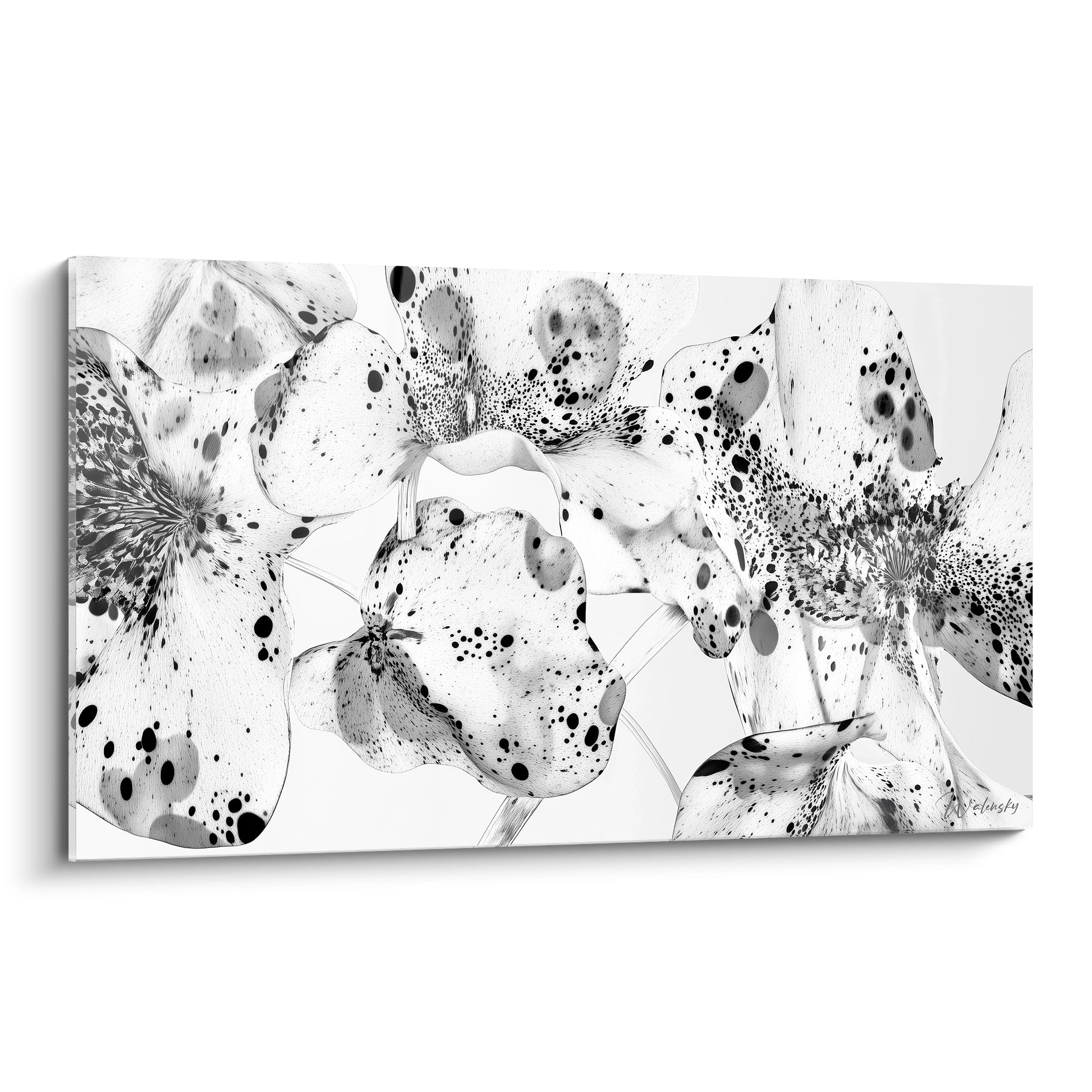 Tableau tacheté noir et blanc de fleurs par Walensky, décor moderne pour votre intérieur