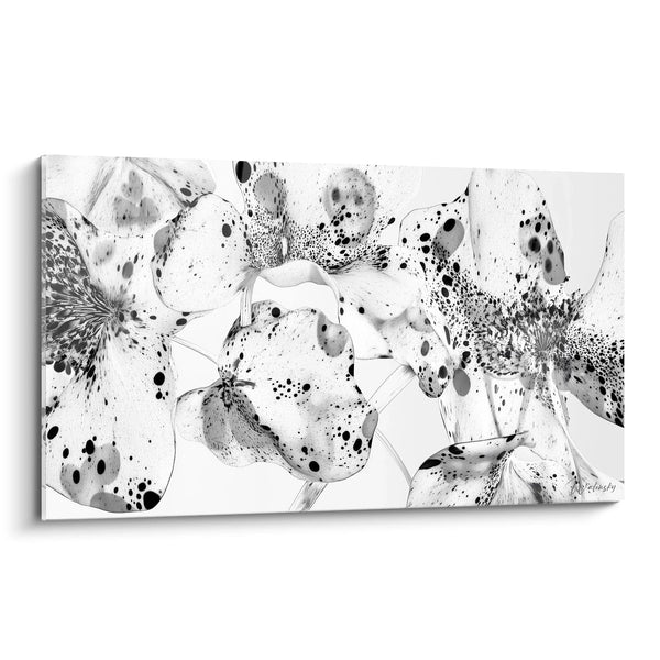 Quadro Pistilli Polvere - edizione macchiata nero e bianco