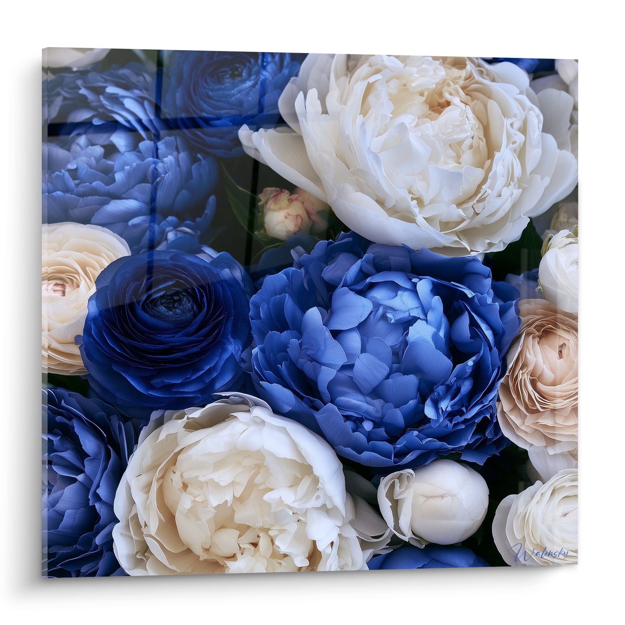 Pivoines bleu marine et blanc ivoire en gros bouquet dense, pétales froissés et lumière douce naturelle