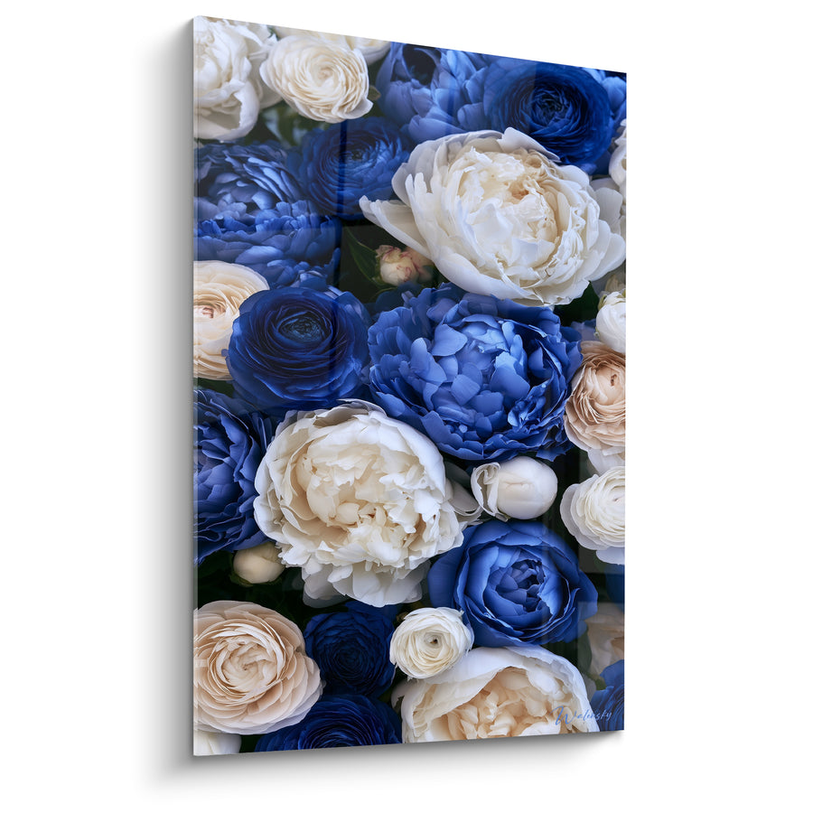 Tableau Pivoines bleu roi et ivoire vue plongeante - Bouquet compact serré - Edition Pivoine