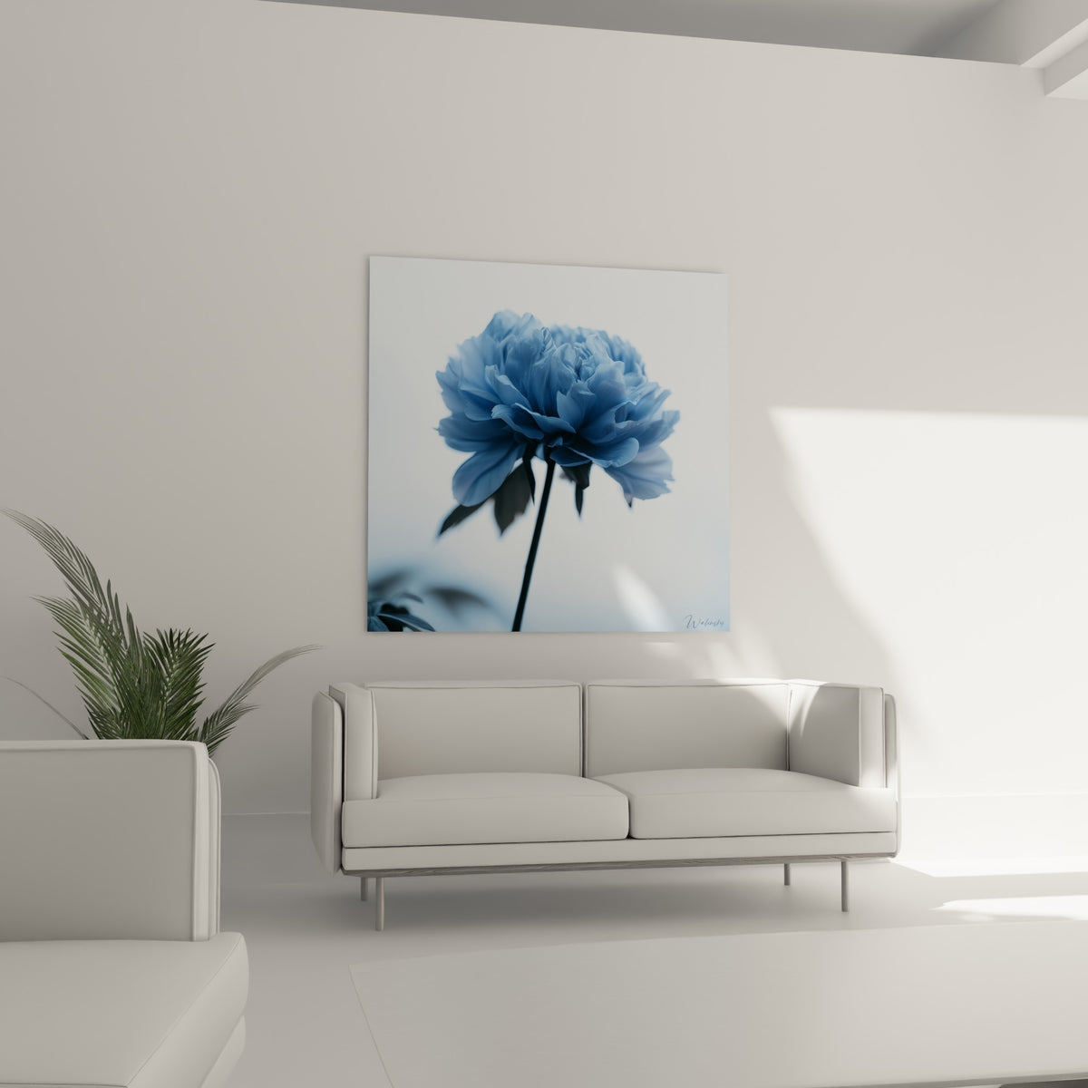 Corolle de pivoine bleu pastel et tige sombre au-dessus d'un canapé dans un salon lumineux
