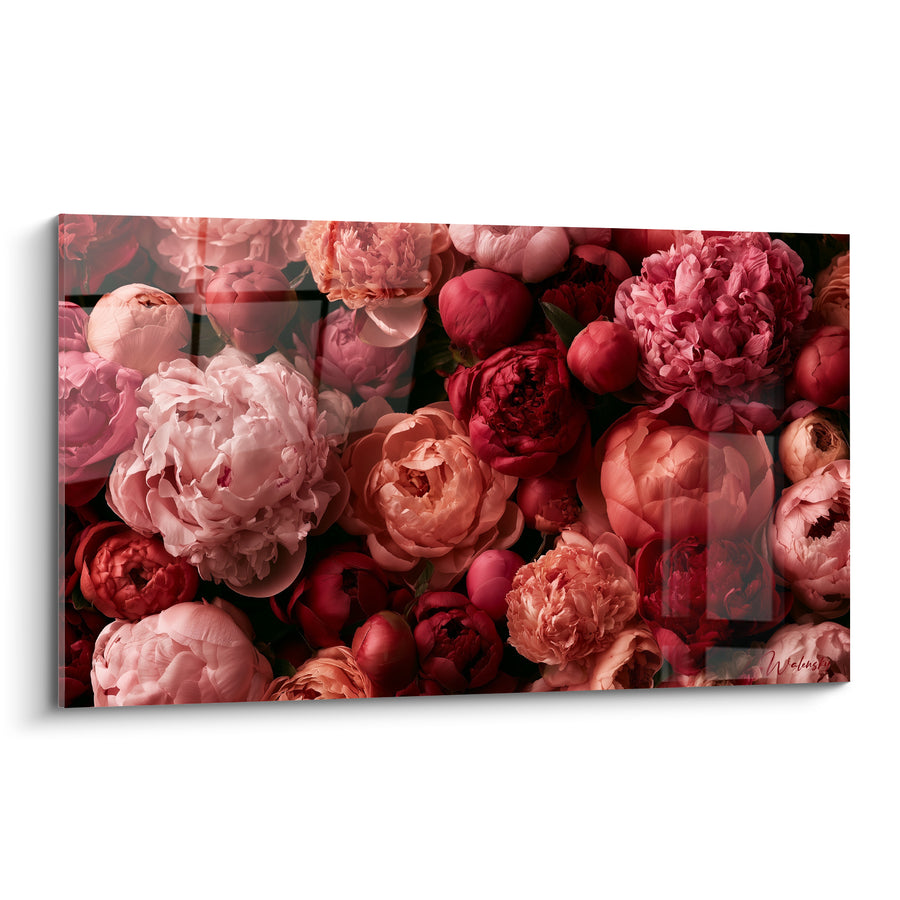 Tableau Pivoines rose et corail entièrement tapissées serrées - Bouquet compact multicolore - Edition Pivoine