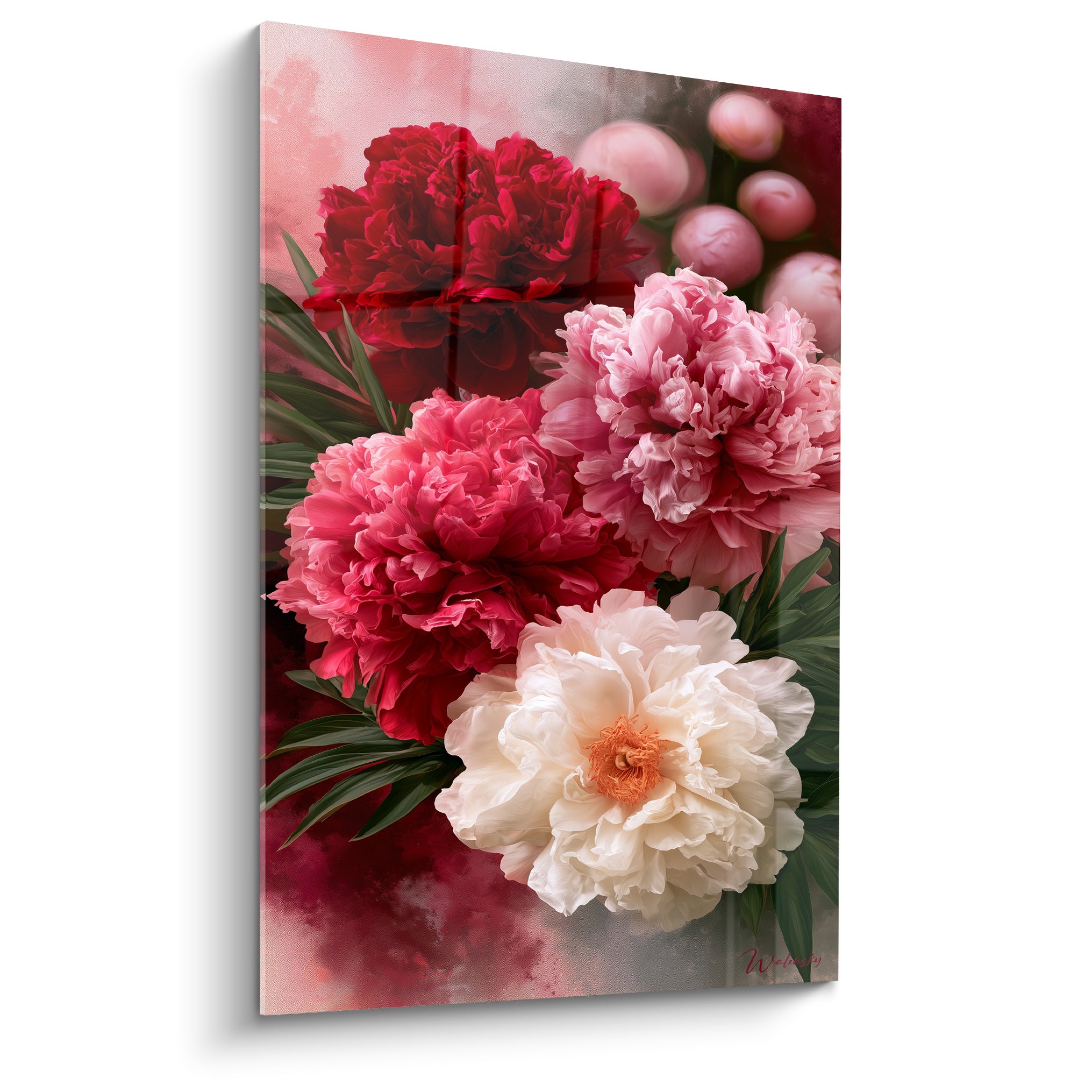 Pivoines rouge bordeaux, rose fuchsia et blanc crème en bouquet dense sur fond dégradé