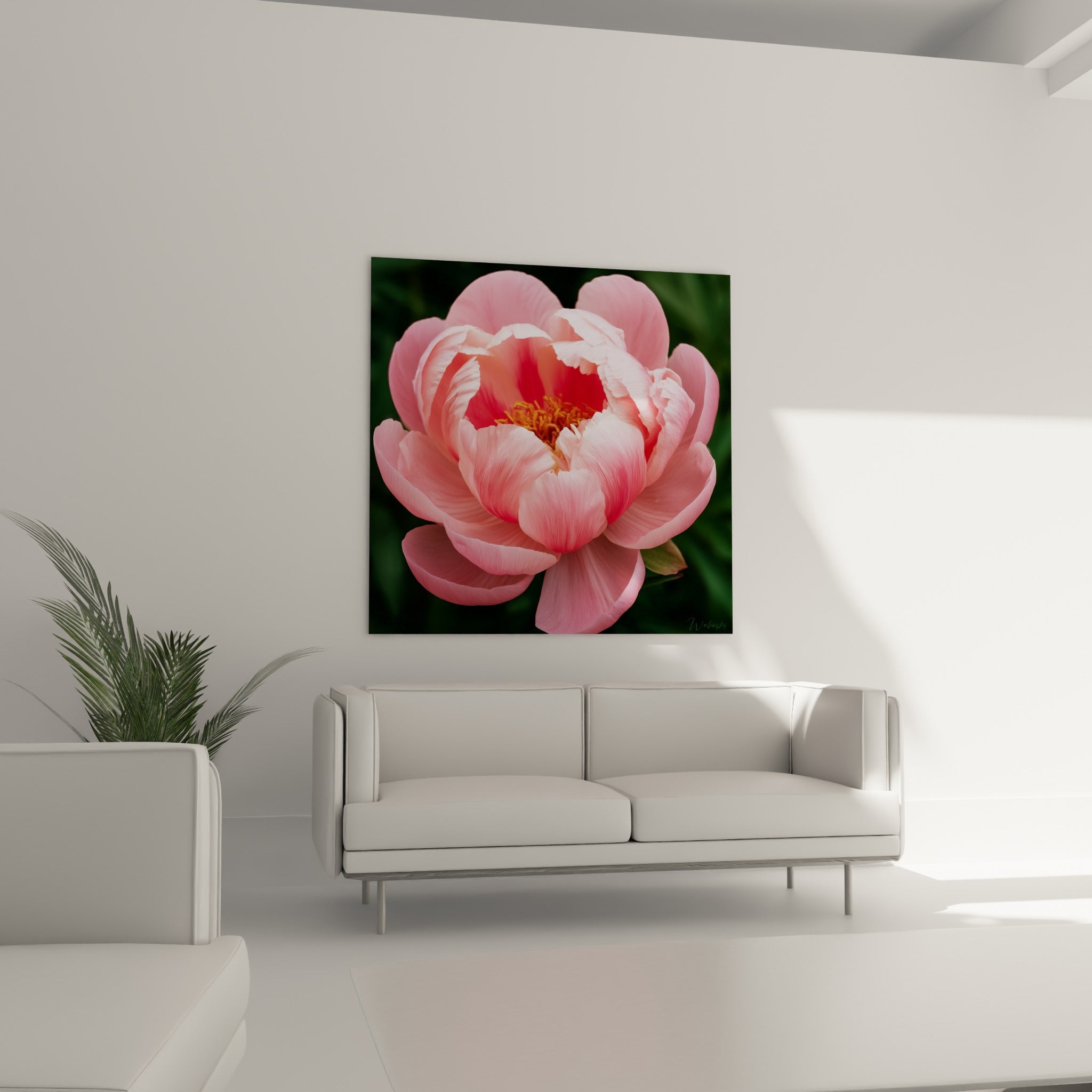 Fleur rose pâle et vert sombre de la pivoine suspendue au-dessus d'un canapé dans un salon lumineux