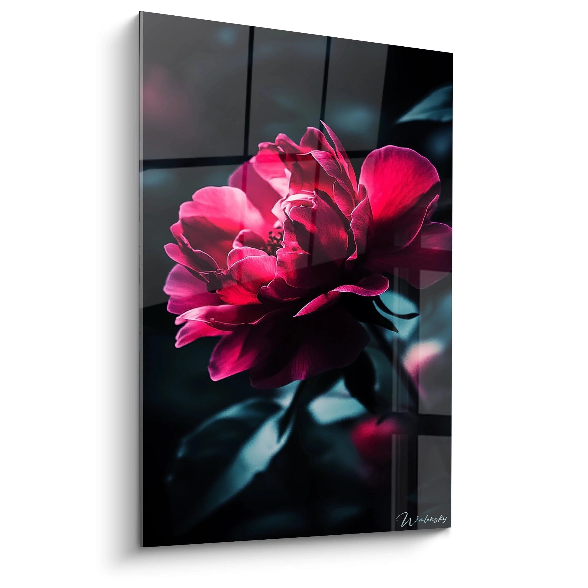 Un tableau pivoine nature représentant une fleur aux pétales rose vif sur fond sombre, avec des textures lisses et des dégradés de lumière accentuant les contrastes entre ombre et couleur.

