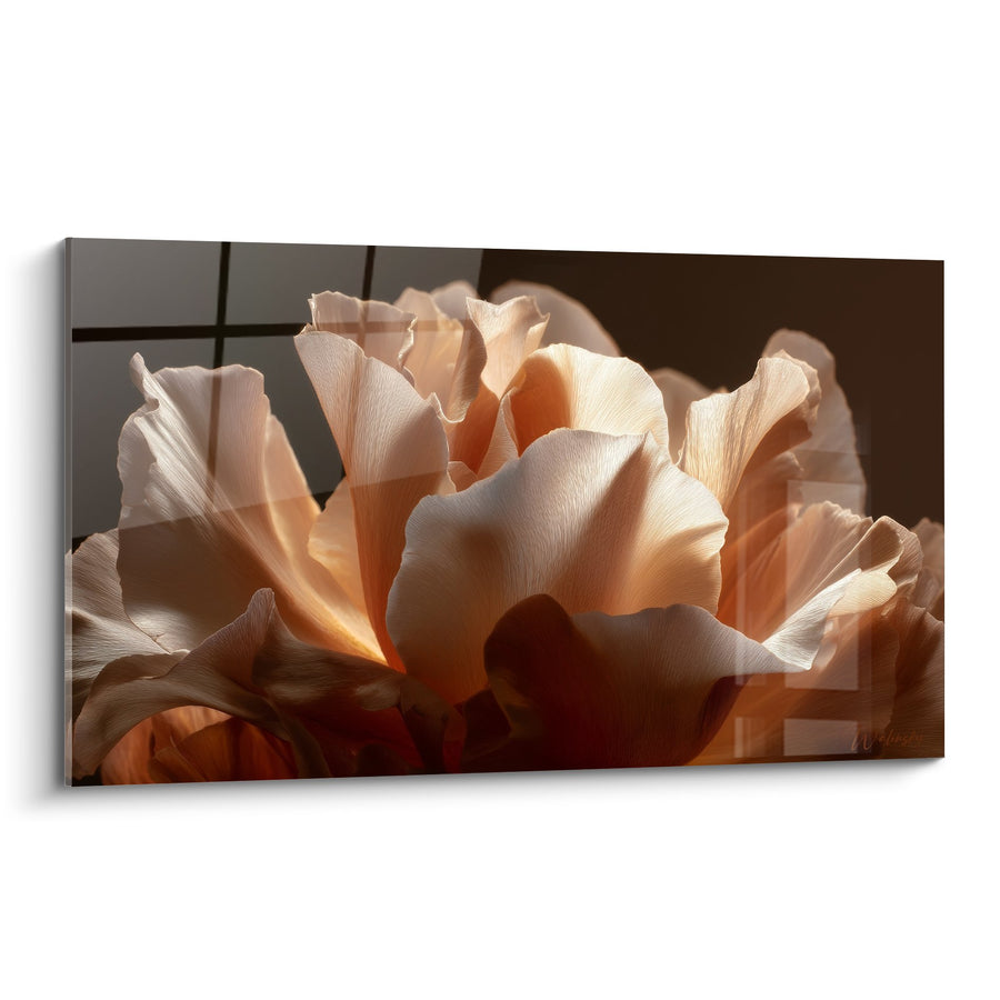 Tableau Pivoine Couleur Pêche aux Pétales Délicats Lumière Dorée - Douceur Florale - Edition Feng shui Sud-Ouest Terre
