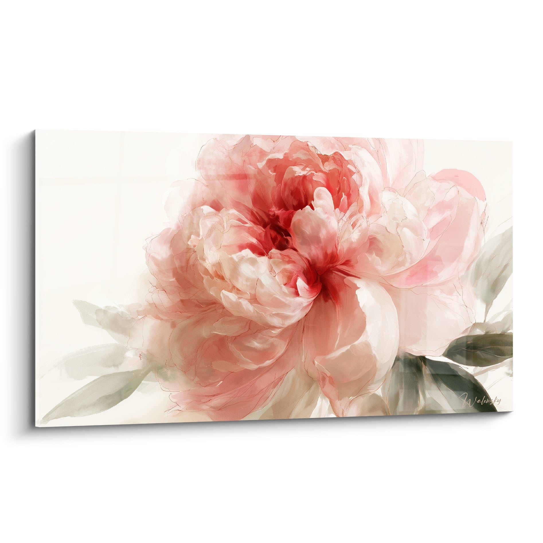 Pivoine rose et blanc aux pétales aquarellés déployés sur fond ivoire texturé