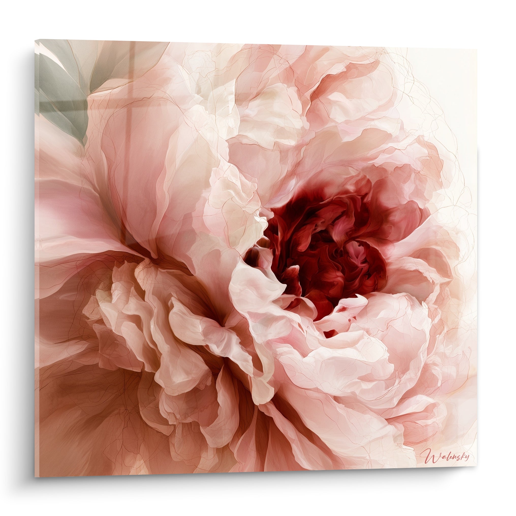 Pivoine en gros plan aux pétales rose poudré et cœur bordeaux, style aquarelle raffiné