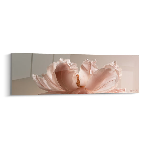 Tableau Pivoine rose pâle et beige aux pétales déployés en éventail - Vue rapprochée frontale - Edition Pivoine
