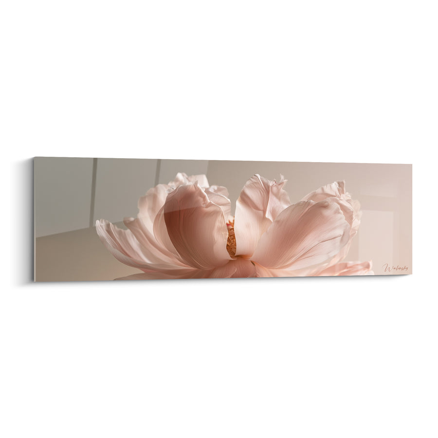 Tableau Pivoine rose pâle et beige aux pétales déployés en éventail - Vue rapprochée frontale - Edition Pivoine