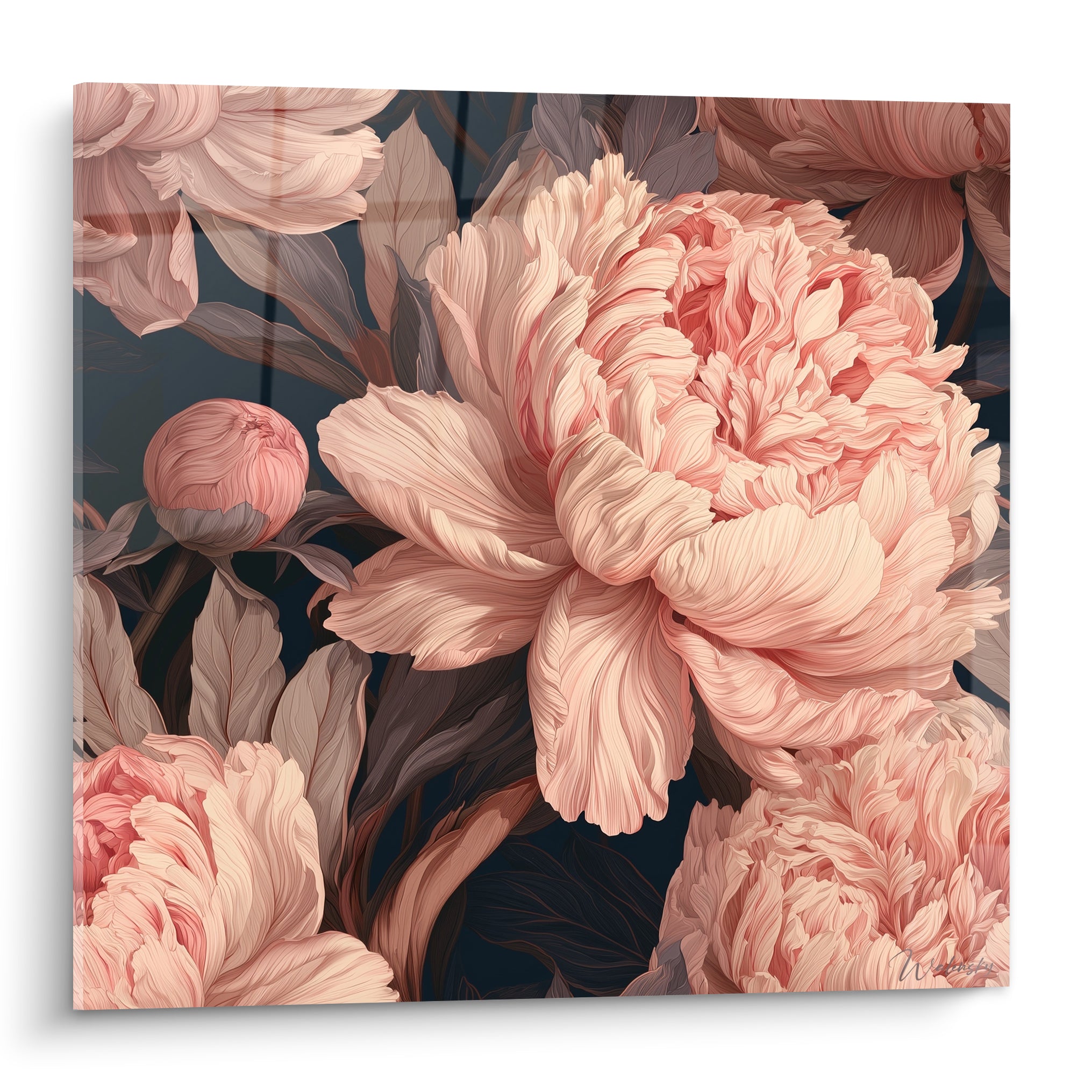 Pivoine rose poudré aux pétales veinés déployés sur fond bleu marine profond et intense