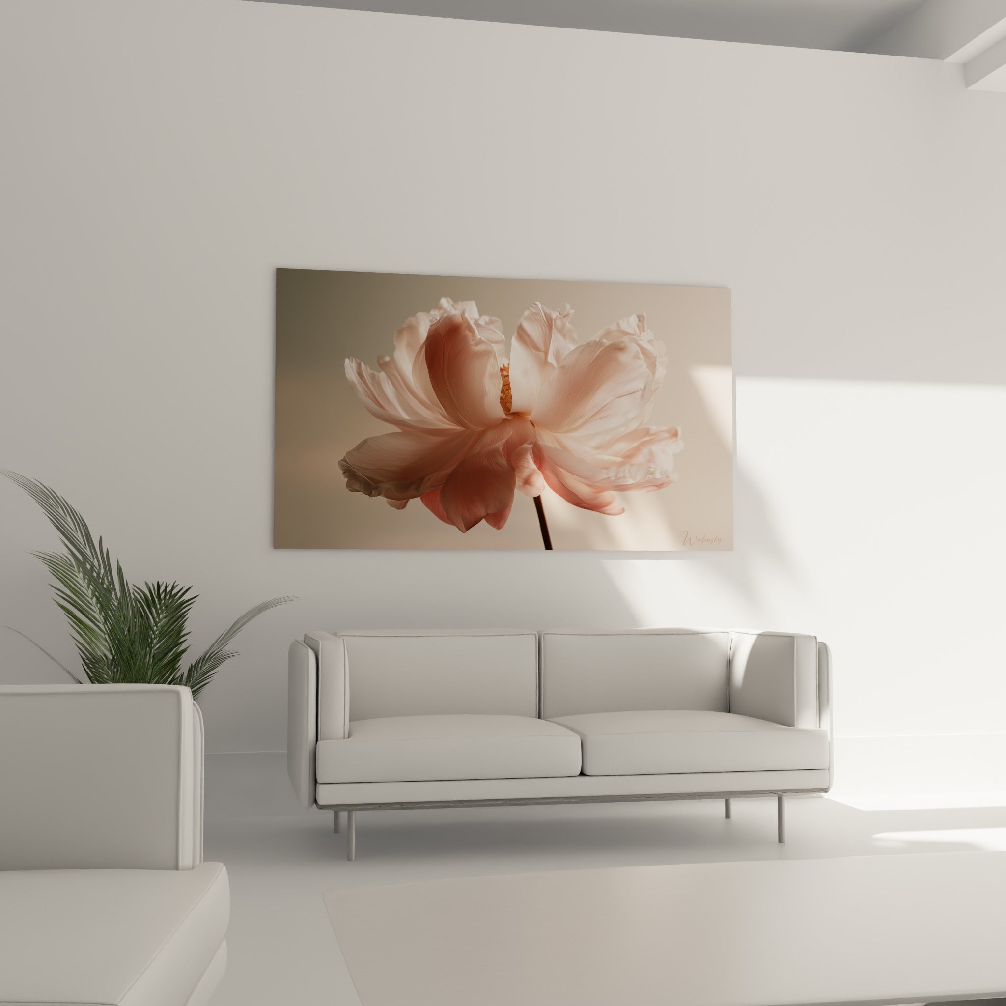 Pétales roses délicats de pivoine baignés de lumière, disposés au-dessus d'un canapé dans un salon lumineux