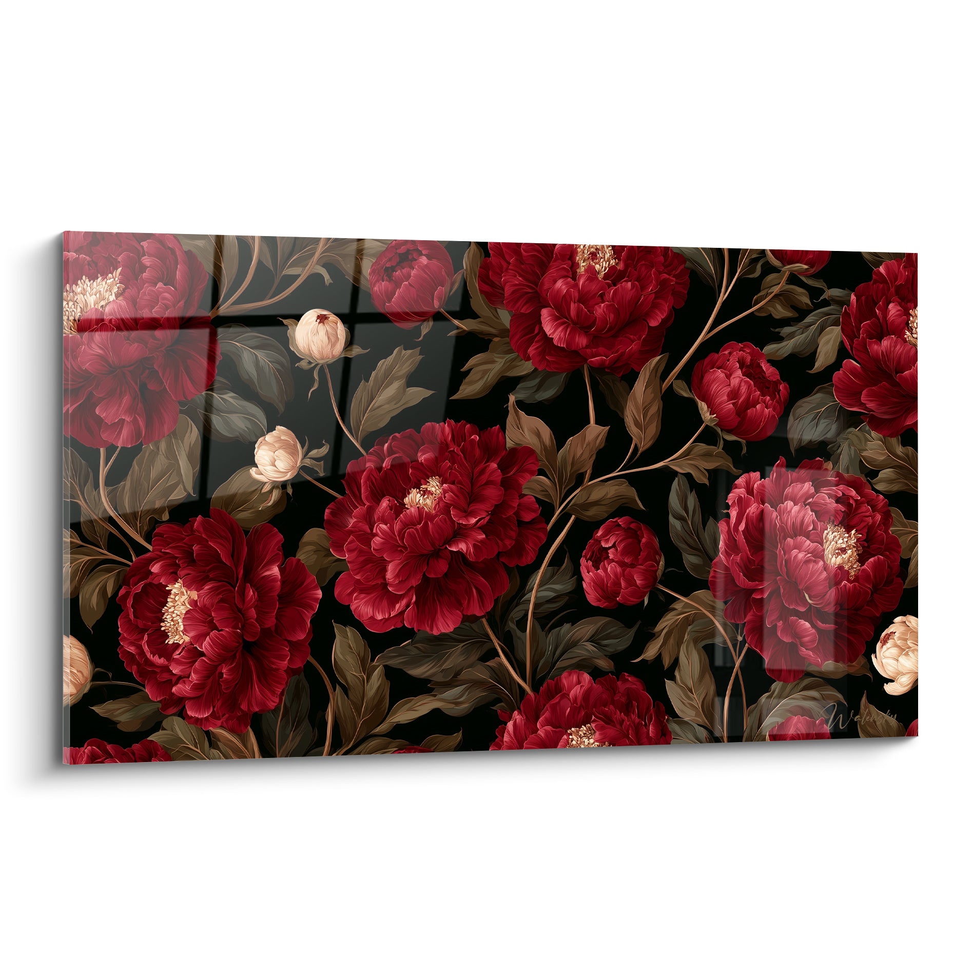 Pivoines rouge grenat et boutons crème sur fond noir profond, style botanique détaillé et raffiné