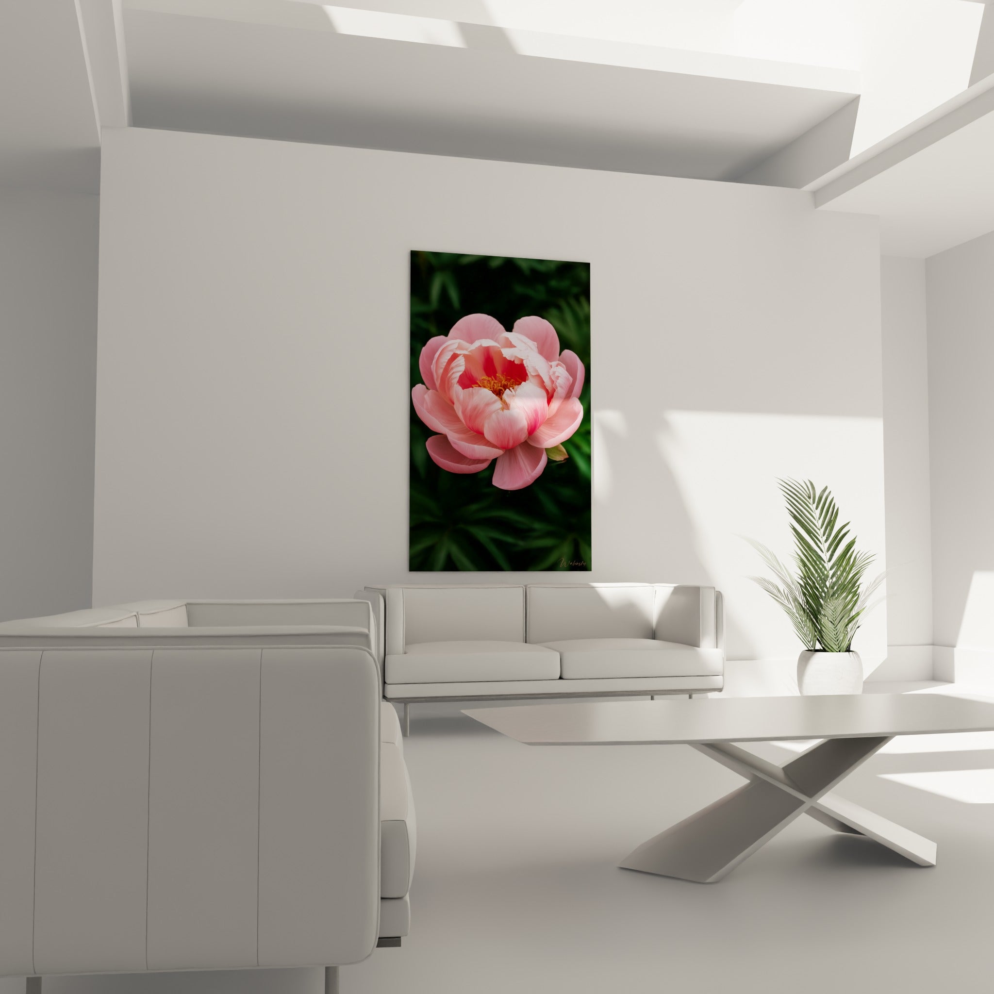 Corolle de pivoine rose et vert bouteille, disposée au-dessus d'un canapé dans un salon lumineux